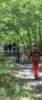 Sentier accessible dans la forêt de la comté, Espace Naturel Sensible